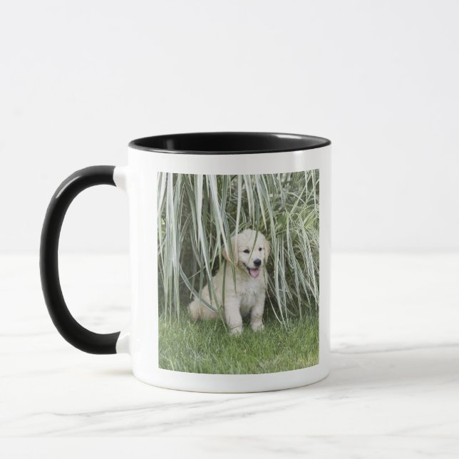 Mug Chiot de Goldendoodle se reposant sous les herbes (Gauche)