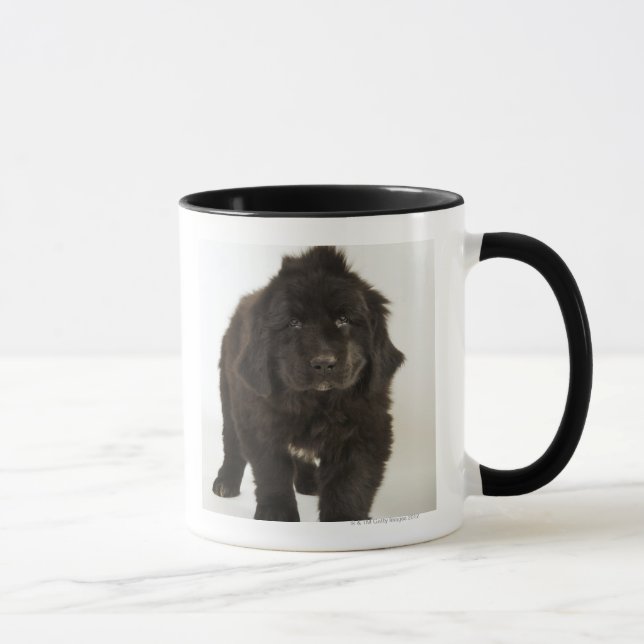 Mug Chiot de Terre-Neuve, tir de studio (Droite)