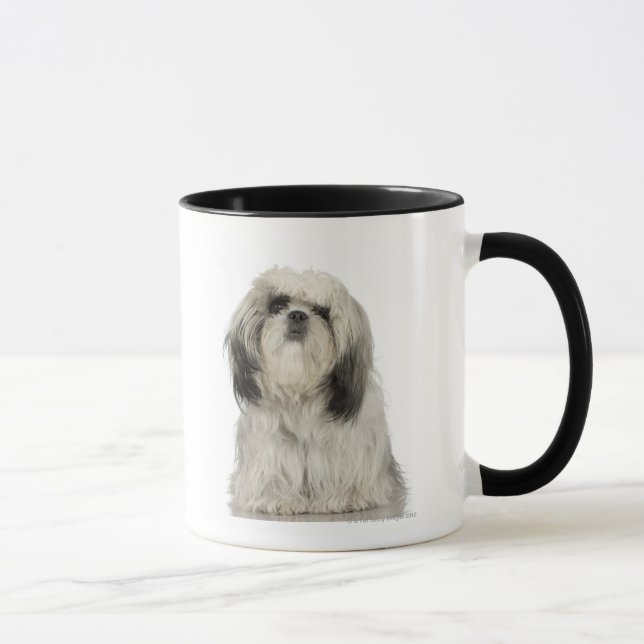 Mug Chiot de Terrier tibétain (Droite)