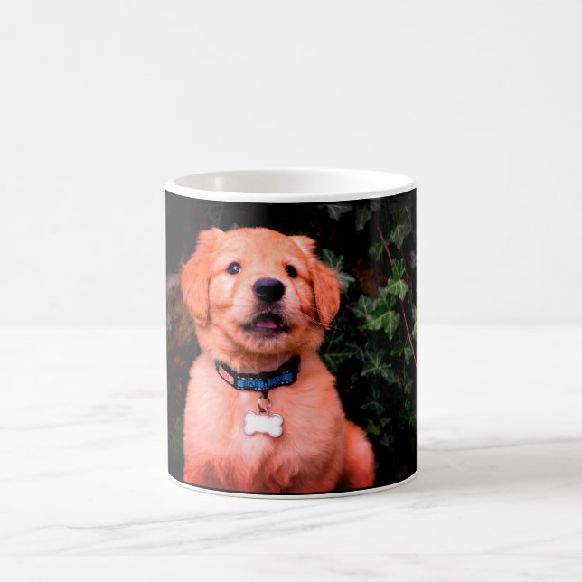 Mug Chiot Golden Retriever (Centre)
