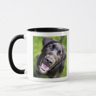 Mug Chiot noir de Labrador regardant vers le haut,