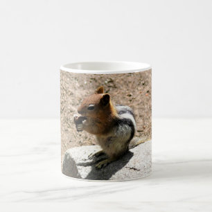 Mug Chipmunk à Yosemite, Californie