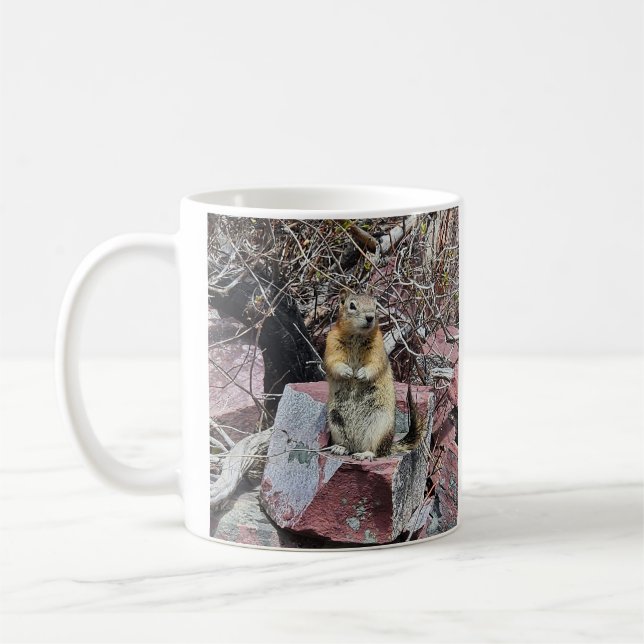Mug Chipmunk dans le parc national des Glaciers (Gauche)