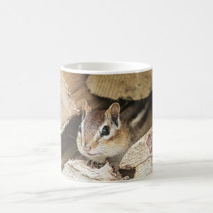 Mug Chipmunk dans une pile de bois