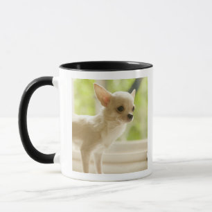 Mug Chiwawa