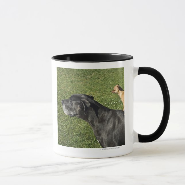 Mug Chiwawa sur le dos 2 de great dane (Droite)