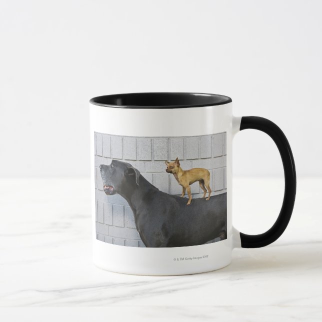 Mug Chiwawa sur le dos de great dane (Droite)
