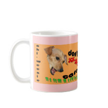 Chiweenie ne s'inquiètent pas