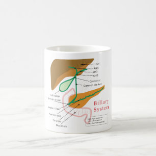 Mug Cholagogue biliaire de diagramme de diagramme de