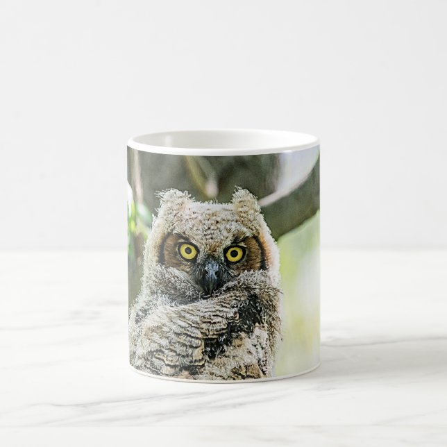 Mug Chouette à grande corne (Centre)