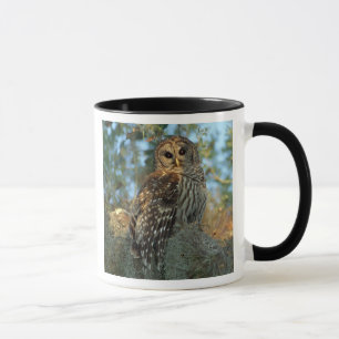 Mug Chouette barrée dans une mousse espagnole
