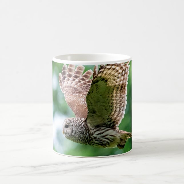 Mug Chouette barrée en vol (Centre)