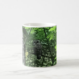 Mug Chouette dans les arbres, Oregon
