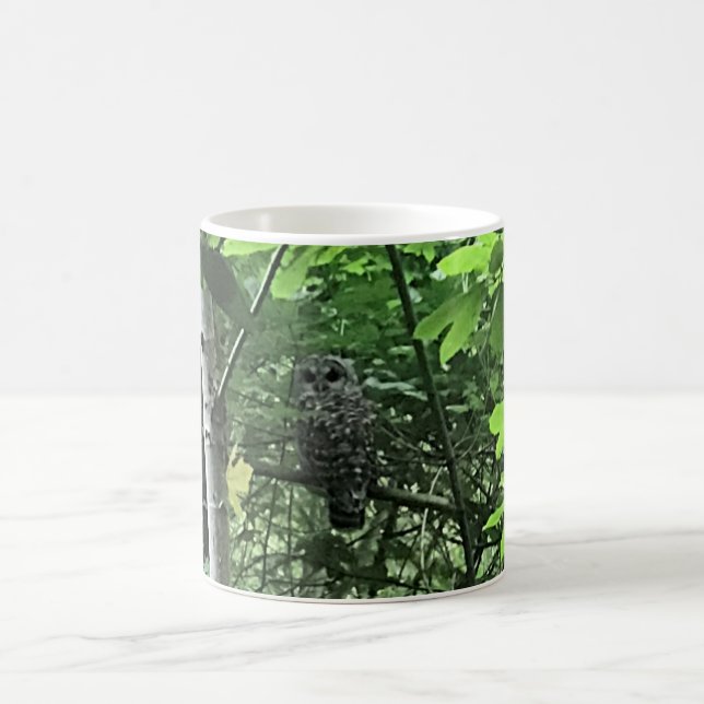 Mug Chouette dans les arbres, Oregon (Centre)