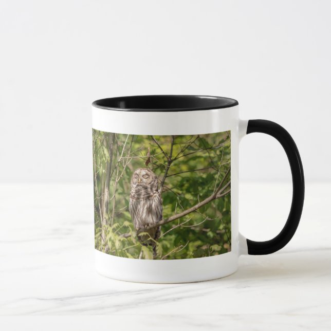Mug Chouette dorée (Droite)