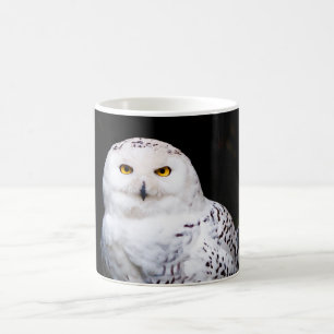 Mug Chouette hivernale majestueuse