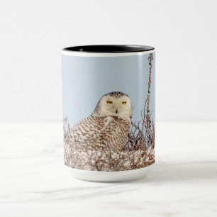Mug Chouette neige assise sur la plage