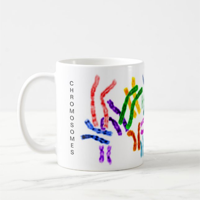 Mug Chromosomes, molécules d'ADN (Gauche)
