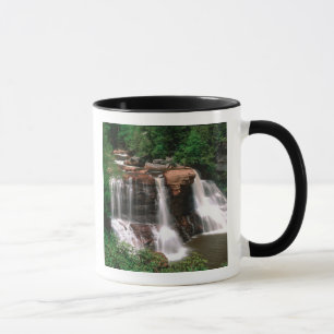 Mug Chutes de Blackwater, Virginie-Occidentale, pittor