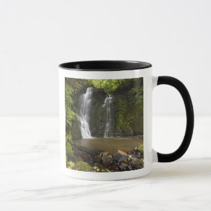 Mug Chutes de Horseshoe, chutes de Matai