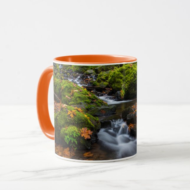 Mug Chutes de Starvation Creek | Columbia Gorge, Orego (Devant gauche)