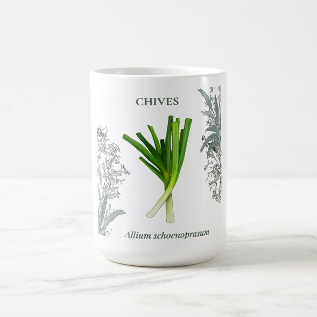 Mug Ciboulette — Allium schoenoprasum (Centre)