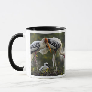 Mug Cigognes peintes & jeune au nid,Keoladeo