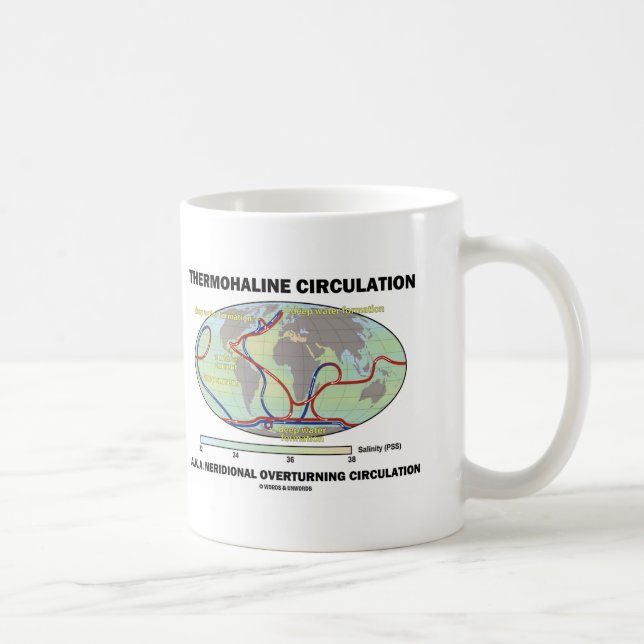 Mug Circulation Thermohaline (retournement méridional) (Droite)