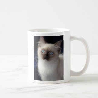 Mug cla1, RW SGCAWillowtreerags'Irish Fancyaka Clancy
