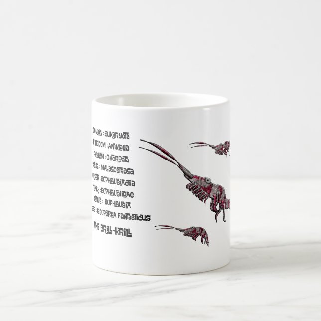 Mug Classification scientifique de la krill papillon b (Centre)