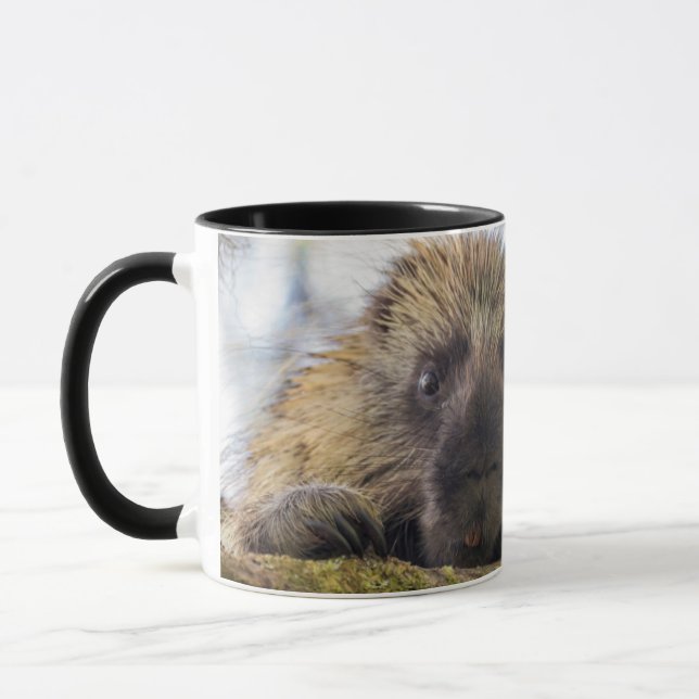 Mug Close-up of porcupine in a tree (Gauche)