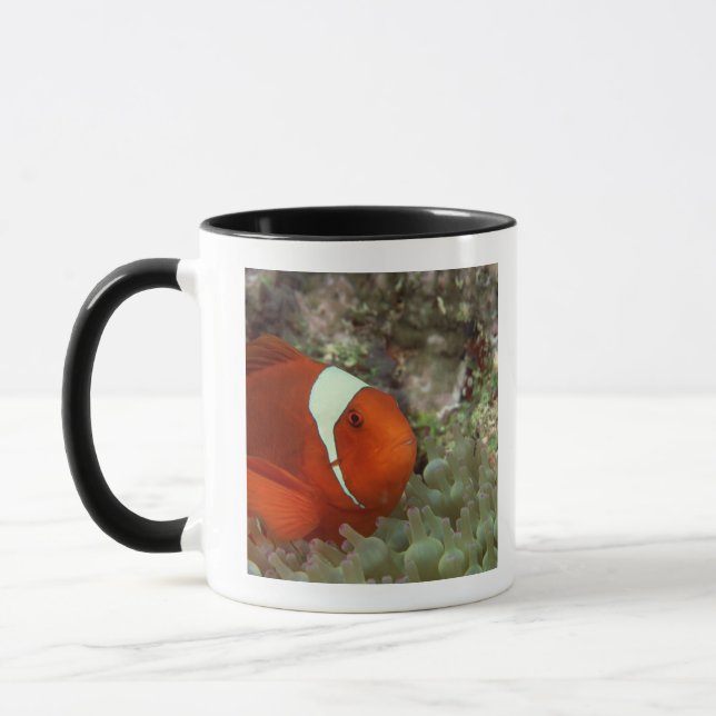 Mug Clownfish 2 (Gauche)