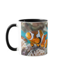 Mug Clownfish - Parfait pour l'océan