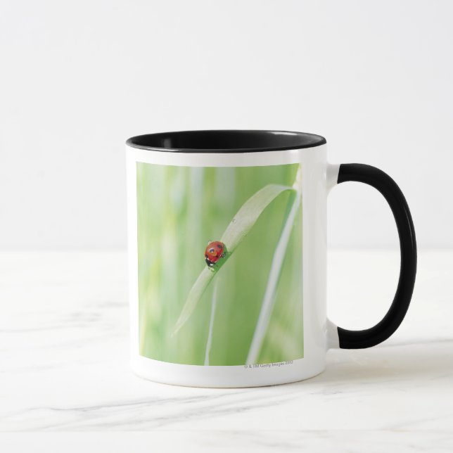 Mug Coccinelle (Droite)