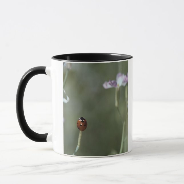 Mug Coccinelle sur la tige (Gauche)