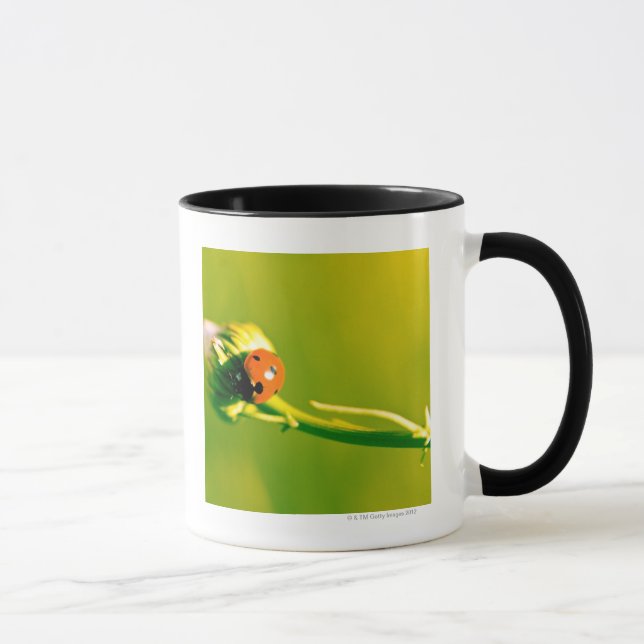 Mug Coccinelle sur le brin (Droite)