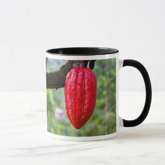 Mug cocod