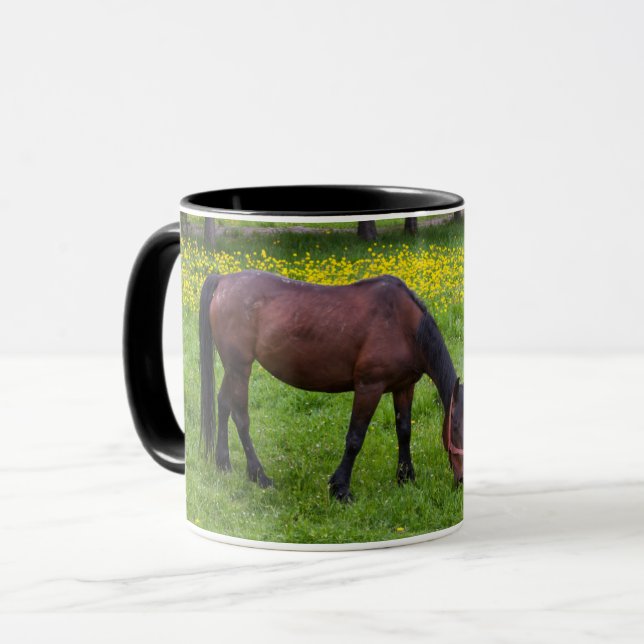 Mug Col de Tihuta, cheval au pâturage (Devant gauche)