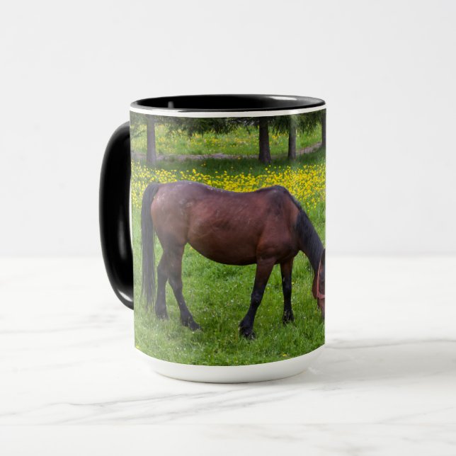 Mug Col de Tihuta, cheval dans un pâturage (Devant gauche)
