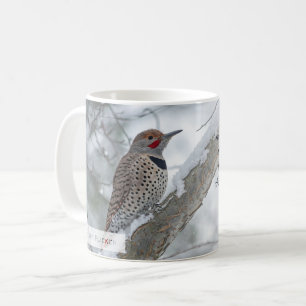 Mug Colaptes auratus Isaïe 1:18 KJV