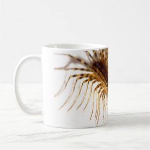 Mug Coleoptrata de Scutigera