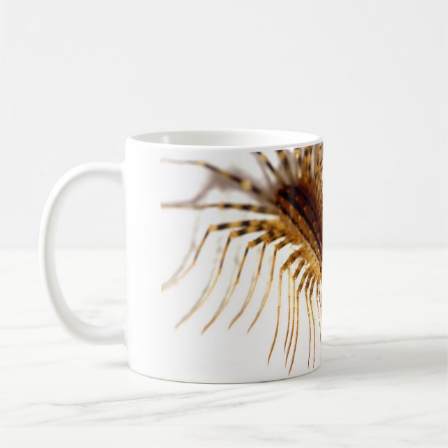 Mug Coleoptrata de Scutigera (Gauche)