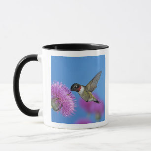 Mug Colibri à gorge rubis