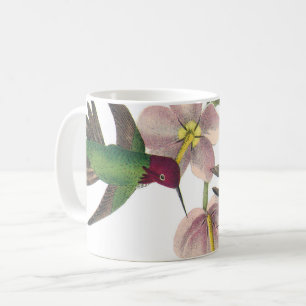Mug Colibri d'Anna par Audubon
