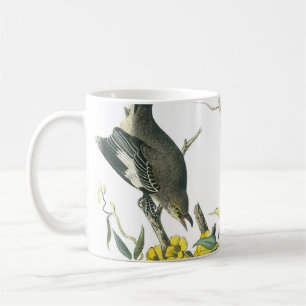 Mug Colibri du Nord par Audubon