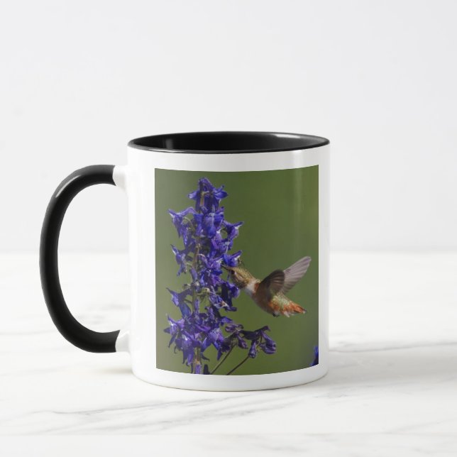 Mug Colibri roux (Gauche)