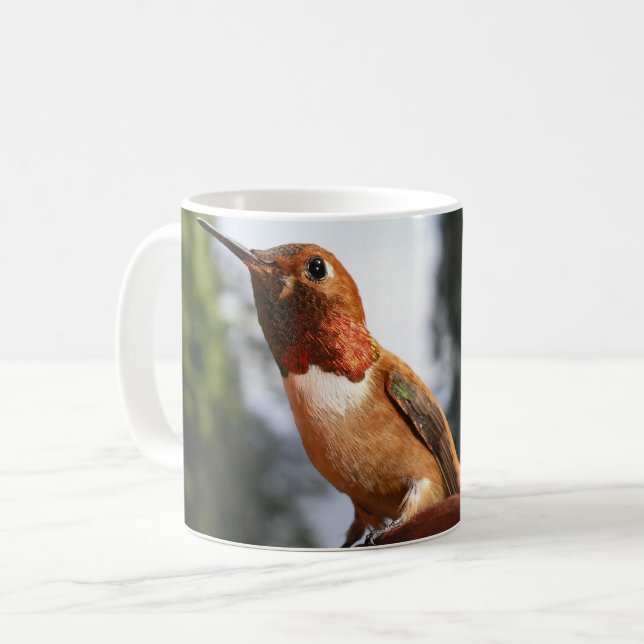 Mug Colibri roux mâle - Muqueuses (Devant gauche)