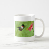 colibri Rubis-throated (mâle) avec le pétunia
