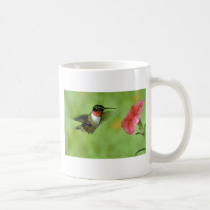 Mug colibri Rubis-throated (mâle) avec le pétunia