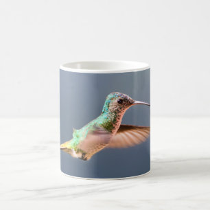 Mug Colibri saphir à queue dorée femelle en vol
